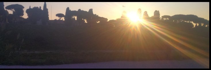 Emymuzzi's profile banner image