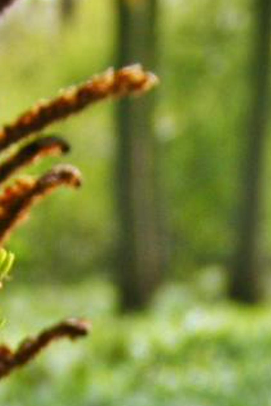 thygexiri's profile banner image