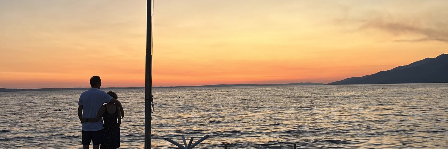 dan banner