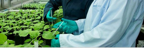 Lomonossoff_Lab Profile Banner