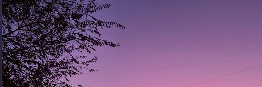 FlorMaddo's profile banner image