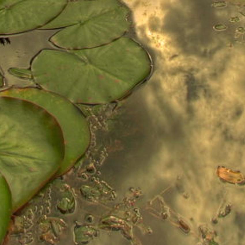 gectoniteabin's profile banner image