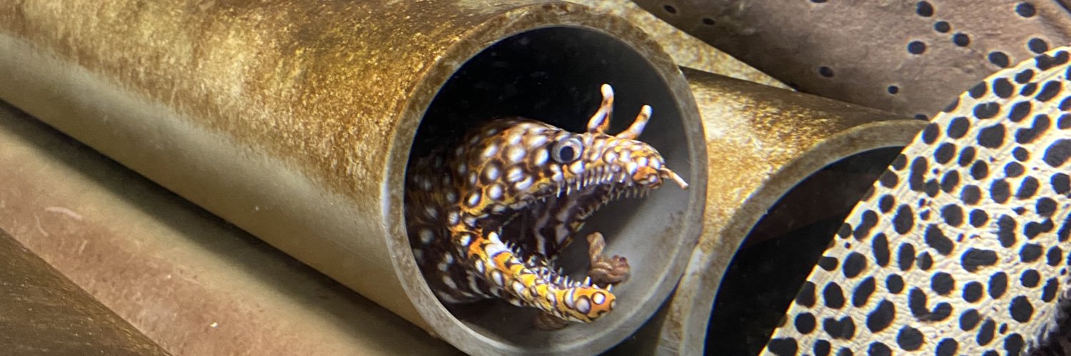 キタザトユタカ banner