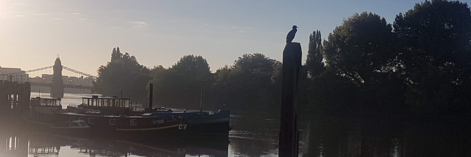 Christabel Cooper banner