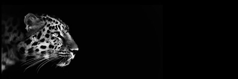 dhh_19's profile banner image