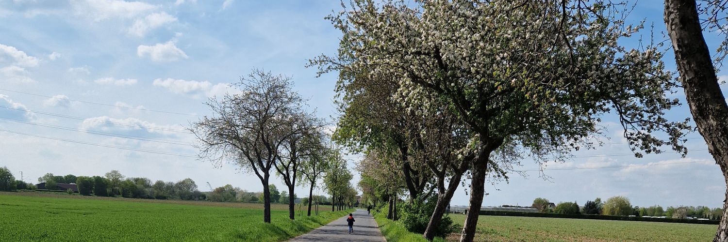 Dr. Ali Kaouk 🇱🇧 banner