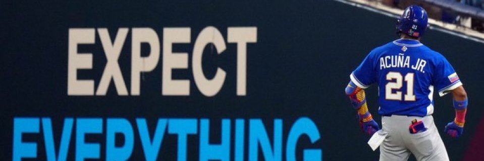 Mordecai The Blue Jay  banner