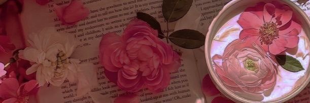Alicia🌸✨ banner