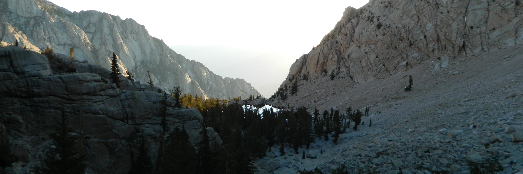 Andrew Lipchik banner