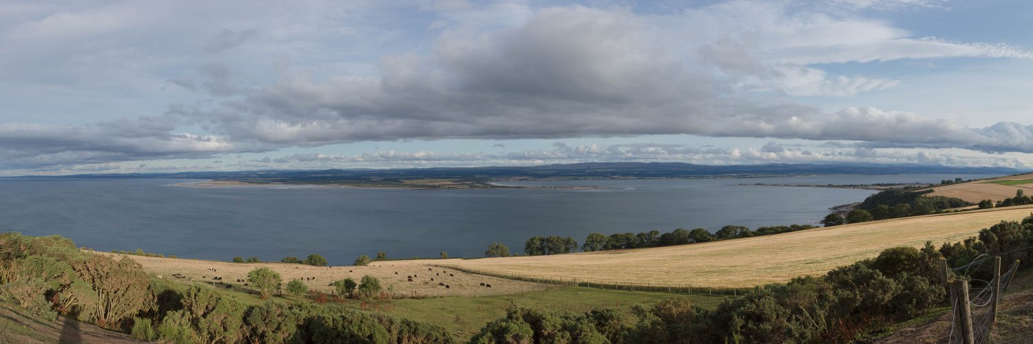 DolphinViewHillockhead Tim Stenton banner