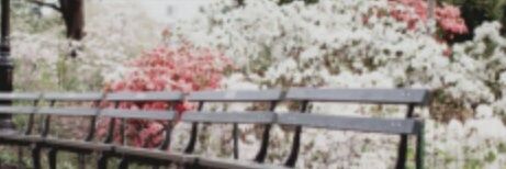 IntrovertedWolf's profile banner image