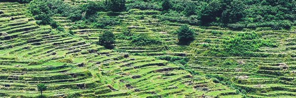 Qiyuan_Peng Profile Banner