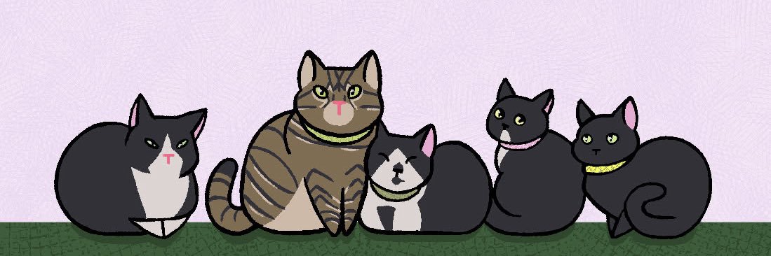 braintrope's profile banner image