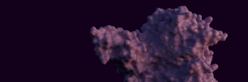 Sandy Schmidt banner