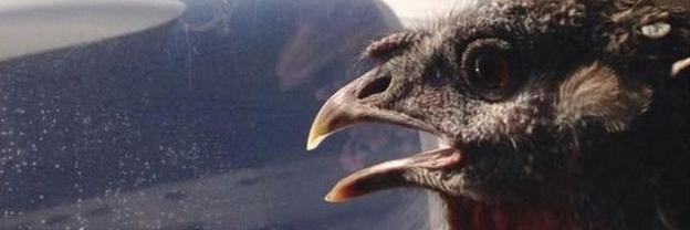 rupert_franklin's profile banner image