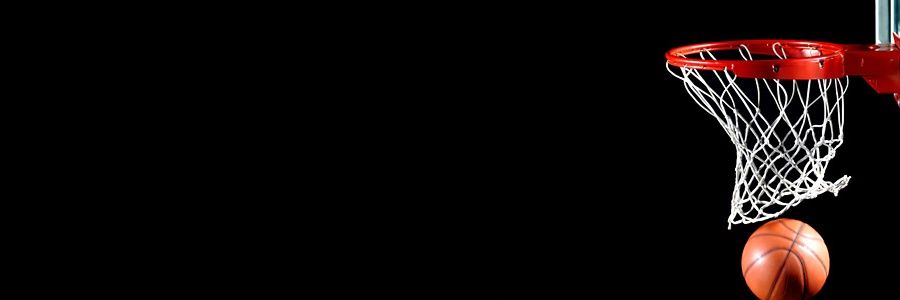 Michelle Brickey banner