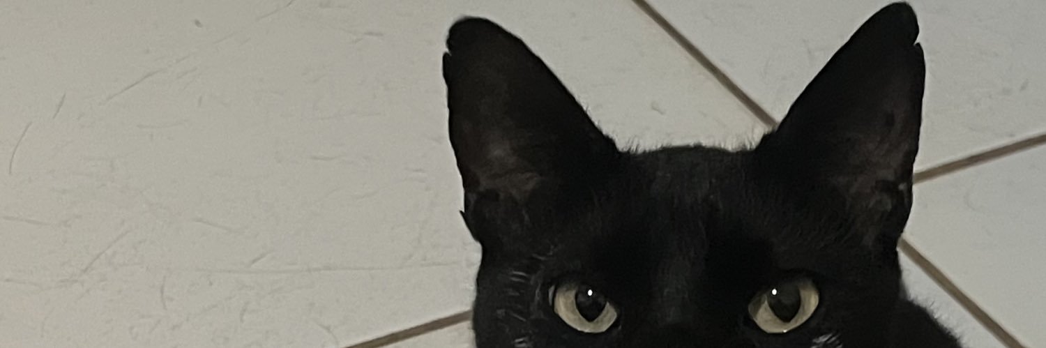 lrgmsb's profile banner image