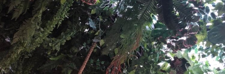 rosemdldl's profile banner image