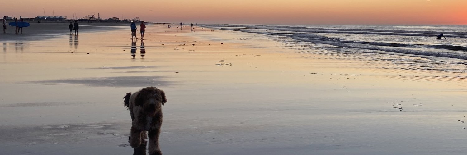 tori_paley's profile banner image