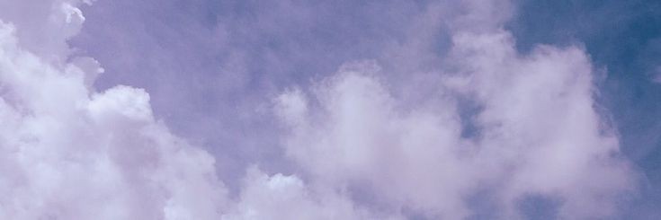 shenlanzou's profile banner image