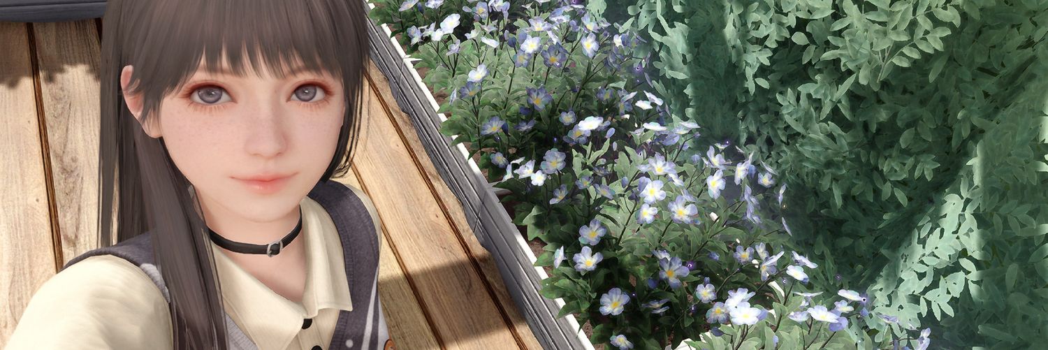 cantarechanter's profile banner image