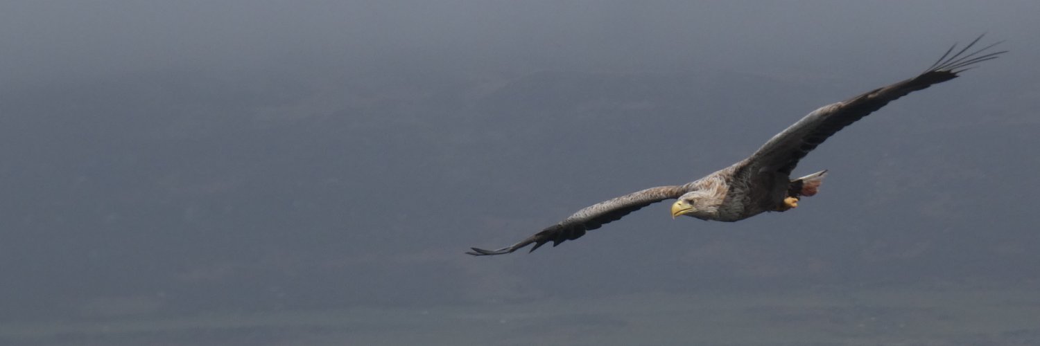 Sophie Barrell banner