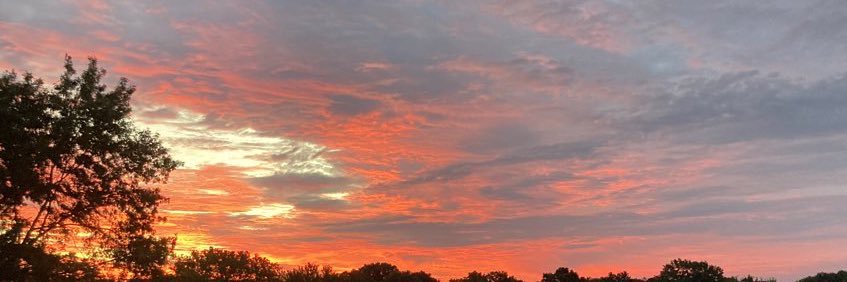 Tired Uncle Blight @ bsky banner