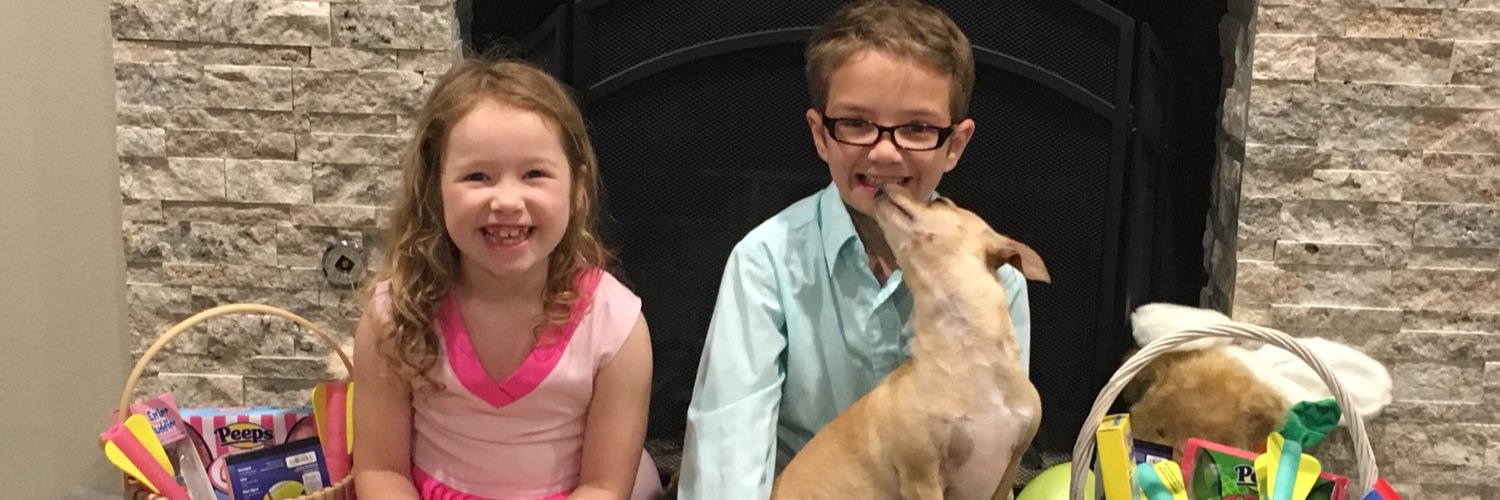 anneshack1217's profile banner image