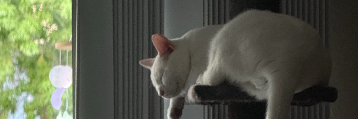 bosieandbones's profile banner image
