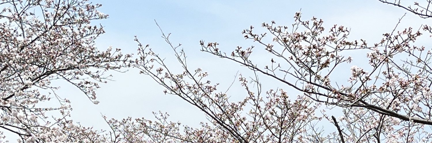 tsukisa_48's profile banner image