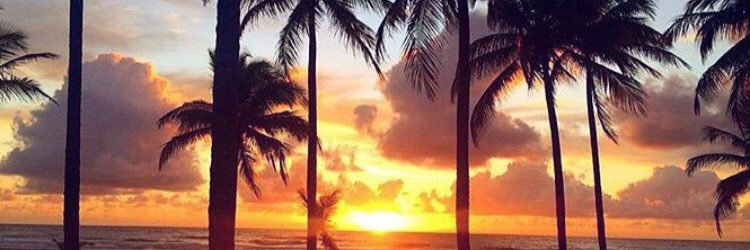Sherazade_P's profile banner image