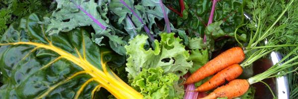 ProjectEAT Profile Banner