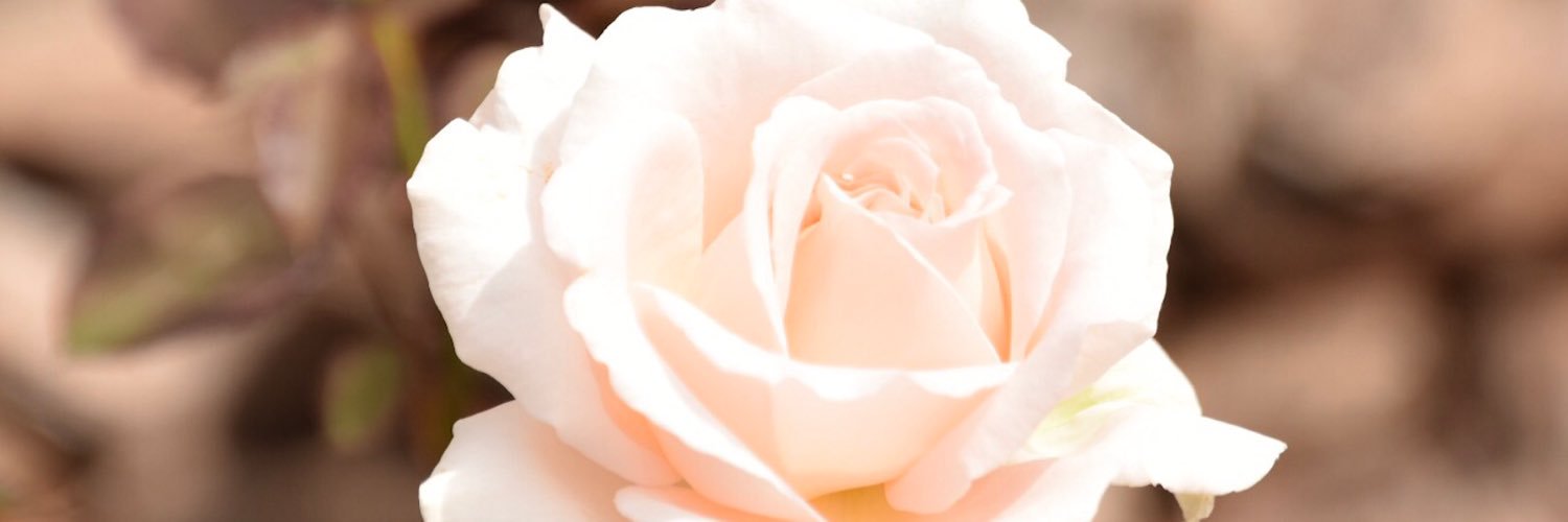 KeyDisney1118's profile banner image