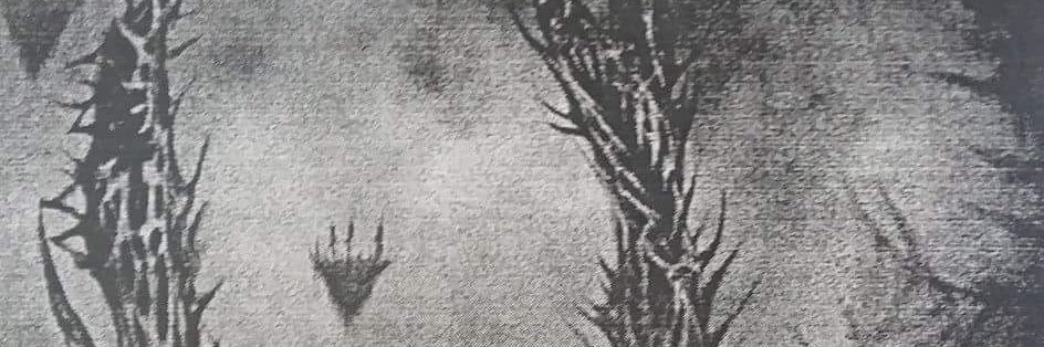 7sealspe's profile banner image