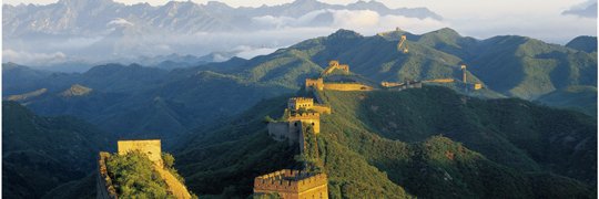 立命館孔子学院 banner