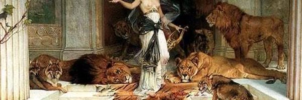 demariamed Profile Banner