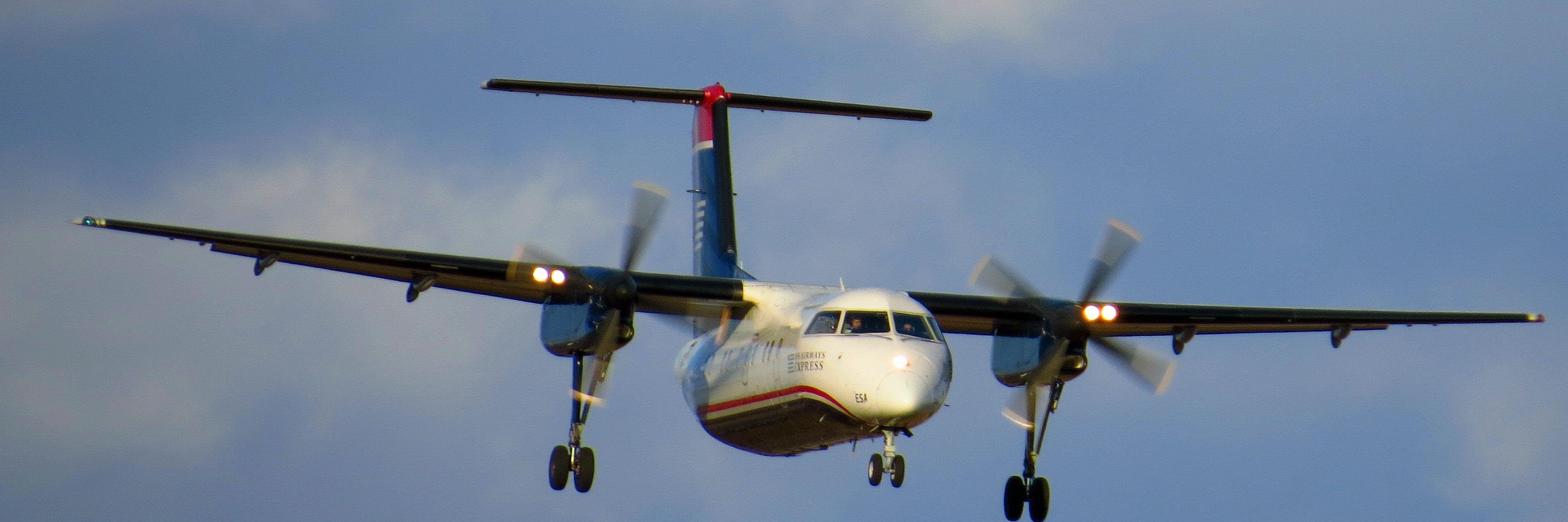 Distelfink Airlines banner