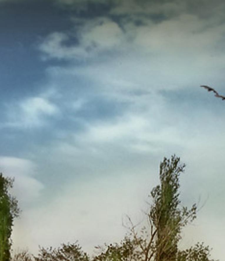 louhumicho's profile banner image