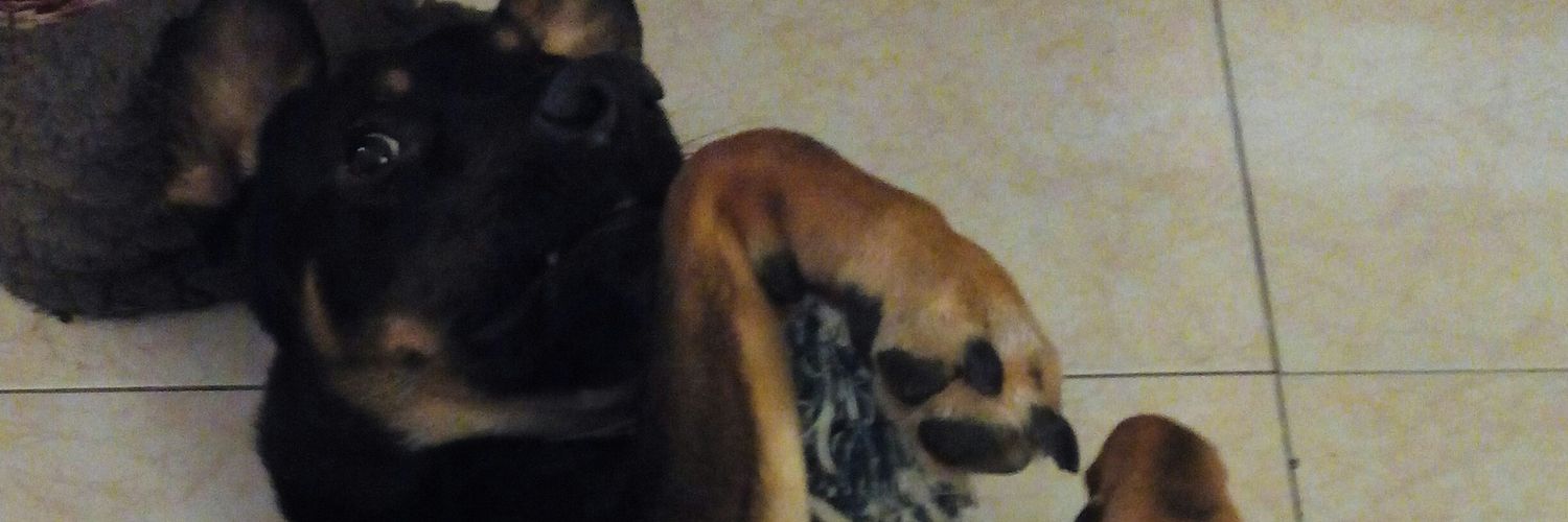 ErClaws's profile banner image
