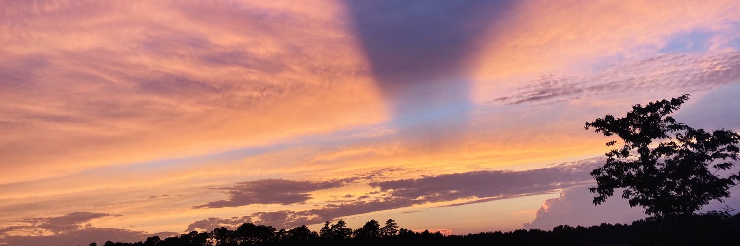 cynphippins's profile banner image