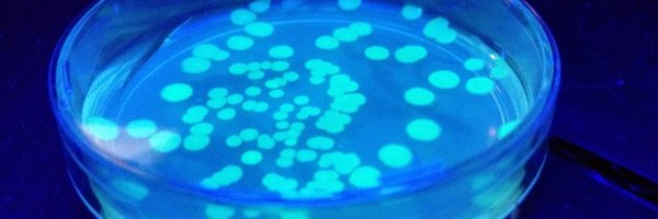 STEMReactor Profile Banner