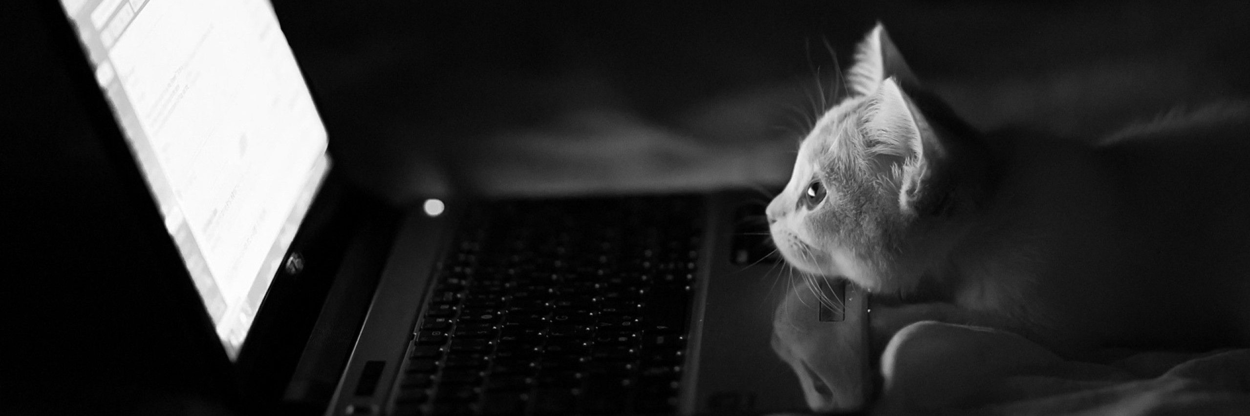 𝓡𝓲𝔂𝓪𝔃.𝓳𝓼 ⚡ banner