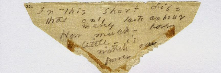 Amanda Thermopolis Renaldi banner