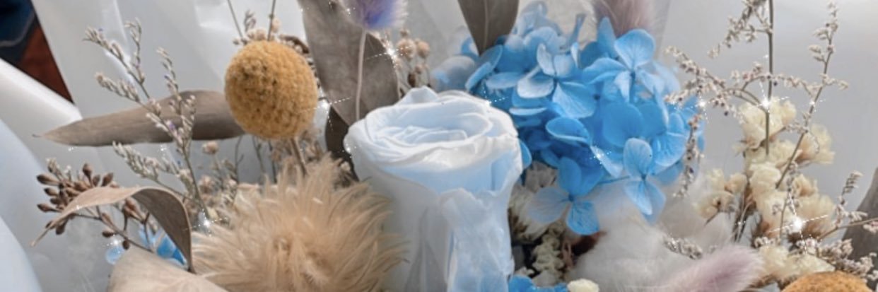 beccayui's profile banner image