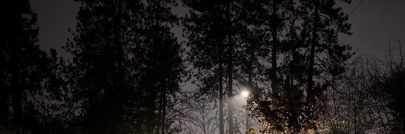 txnii_68's profile banner image