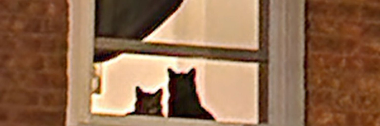 may_yeehaw's profile banner image