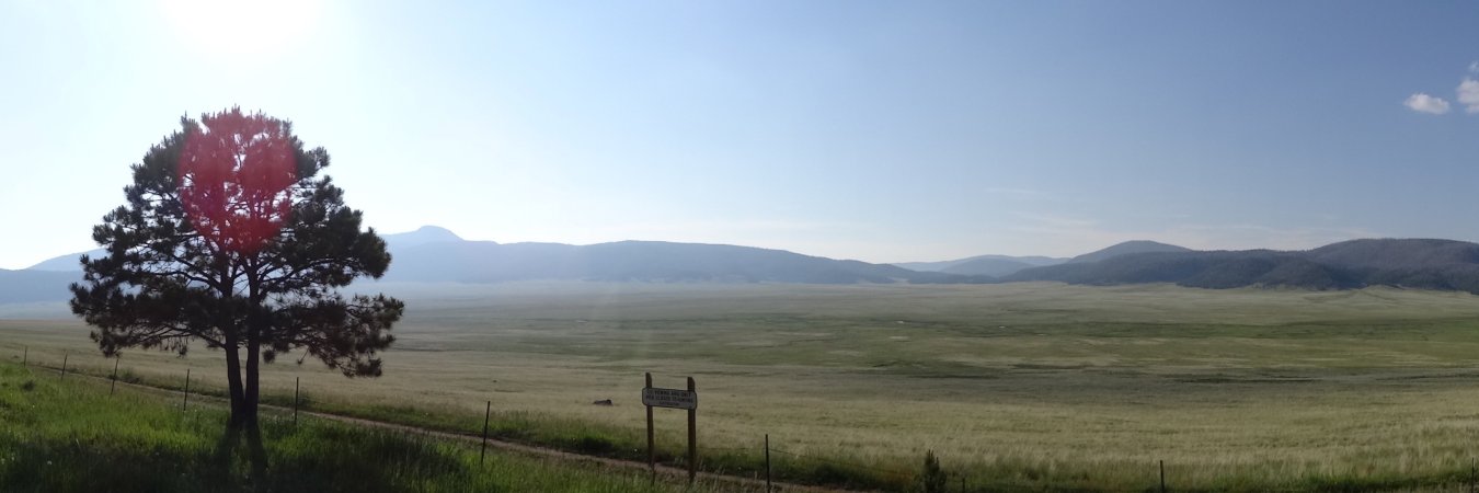 Pascal Aerens banner