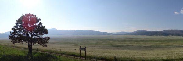 PascalAerens Profile Banner
