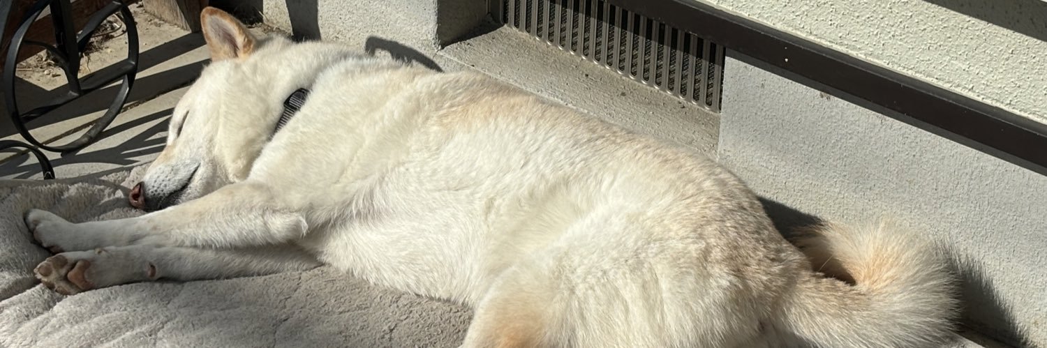 ぼっつん　関けもA-38 banner