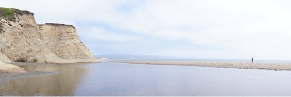 SpinosaPrunus Profile Banner